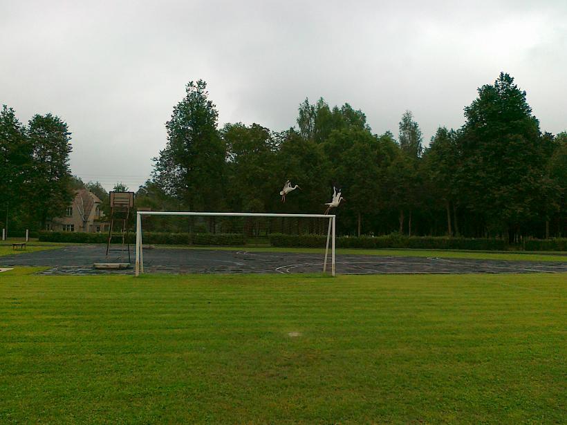20120804138.jpg