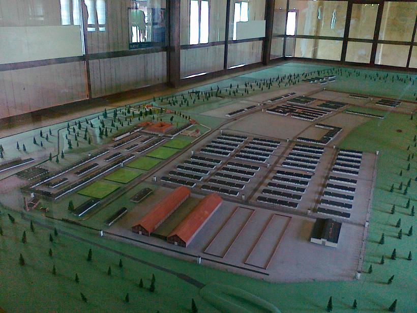 20120610074.jpg