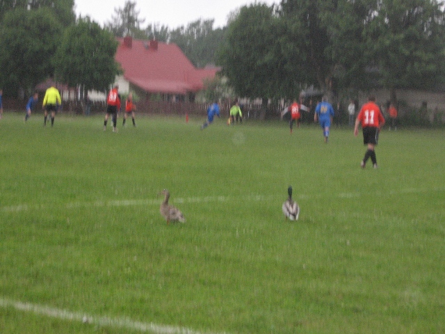 IMG_3874.jpg