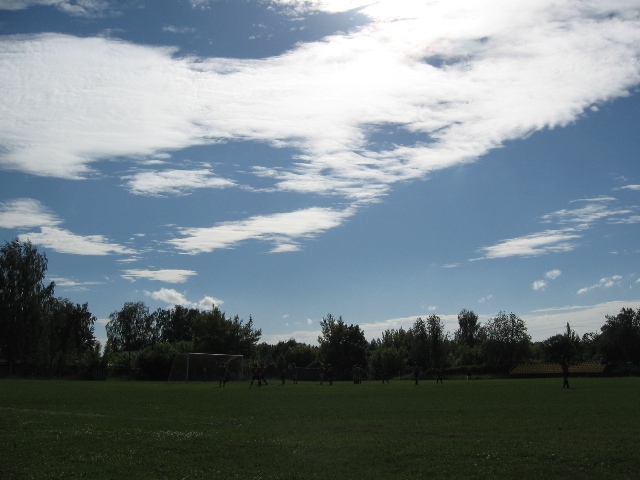 IMG_3890.jpg