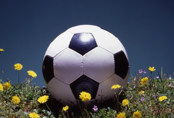 menu_100_100_futbolas_px600.jpg
